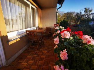 KoblenzLiebe Mosel Ferienwohnung 3-Zimmer Balkon Parking - Coblença - 5