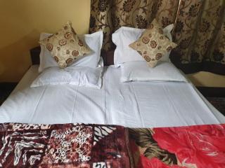 Hotel Wazir Palace - Srinagar - 5