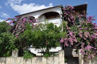 Apartments Petar Maksan - 0