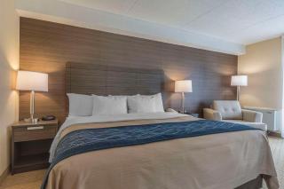 Comfort Inn - Lévis - 3