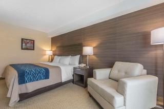 Comfort Inn - Lévis - 1