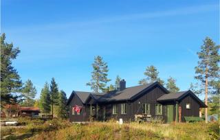 Awesome Home In Fyresdal With Kitchen - Fyresdal - 0