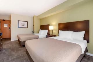 Quality Inn - Peterborough - 6