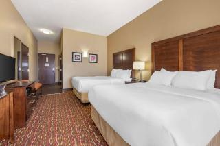 Comfort Inn & Suites Artesia - 4