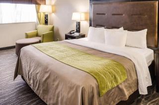 Comfort Inn Downtown Charleston - Charleston - 8