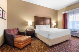 Comfort Inn & Suites Artesia - 1