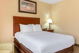 Comfort Inn Traverse City - Traverse City - 5