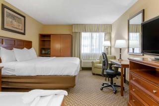 Comfort Inn Traverse City - Traverse City - 3