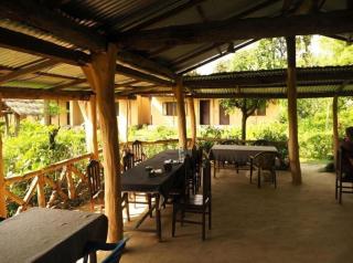 Bardia Jungle Resort - Bhurkīā - 2