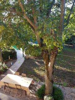 Cap au Sud Sweet home - Nimes - 5