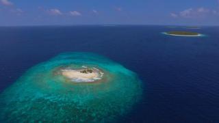 Bon Abri Maldives - 4