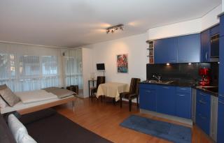 Residenz Larix Apartments - Davos - 9