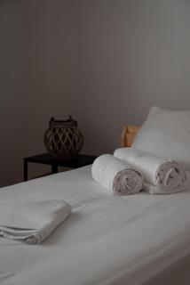 Thissio Getaway 2BA next to Athens ancient market - Atene - 3