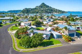 Norfolk Palms - Smurfers Paradise - Tairua - 5