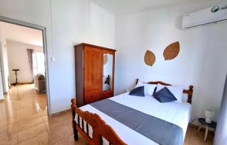 Bel appartement à 10mn à pied de la plage - Adelaar Penthouse - 4