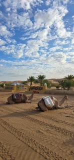AL hawiyah camp - Ḩawīyah - 5