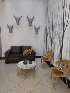 Chic Oasis in Vibrant Jozi BDC - 7