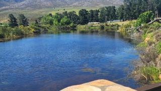 Mountain Pastures Game Lodge - Uniondale - 5