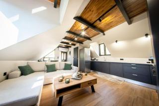 Roof Mountain Top - - 7