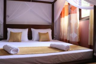 Sheru Guest - 1
