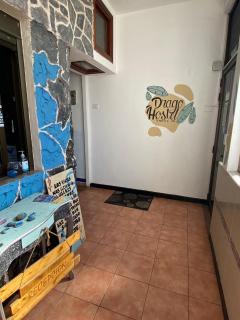 Drago Hostel - 3