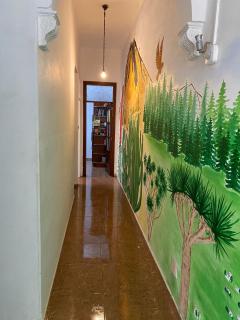 Drago Hostel - Icod de los Vinos - 1