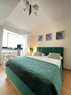 Apartment near IPJ IASI Copou - 5