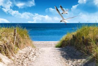 Holiday Vital Resort Ferienhaus 4 Zimmer inklusive Wäschepaket und Urlaubsschutz - Großenbrode - 5