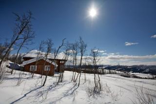 Large Cabin Retreat Perfect for Family Gatherings - Beitostøl - 8
