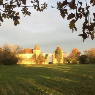 Cosy cottage in rural paradise - Saint-Aubin-de-Branne - 5