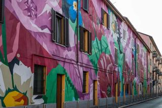 ortica street linate e san raffaele apt - Milan - 0