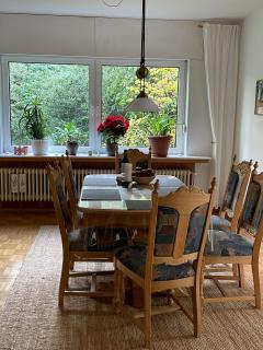 Große Ferienwohnung "Idyll" mit Sauna in Alleinlage - Berge - 9