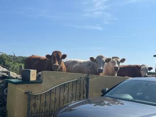 Cliff View Lodge Apartment - 1