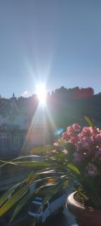 Tashiling Homestay - 1