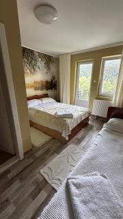 Pensiunea La Mesteceni -Zur Birke, Poiana Marului-Caras Severin - 5