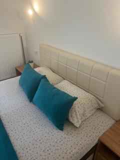 Apartmani Tesla - Soko Banja - 4