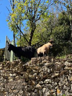 Gîte de Coussane 2 - 3