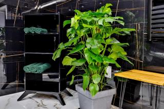 Nowoczesne Apartamenty typu Superior - Bulwary Rabka Zdrój - Balia - Blisko Park Zdrojowy - 2