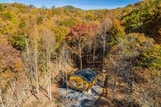 The Wilderness Cabin - Shenandoah Getaway - HotTub, Arcade, RiverAccess - Shenandoah - 0