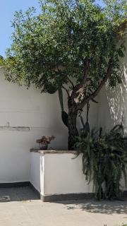 The Cosy Nest - Pignataro Maggiore - 6