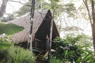 Balsa Nueva Lodge-Farm Stay & Café-Ocean & Jungle-Views - 9