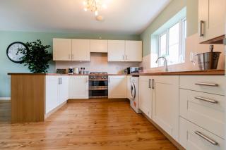 Jungle House - Chichester - 1
