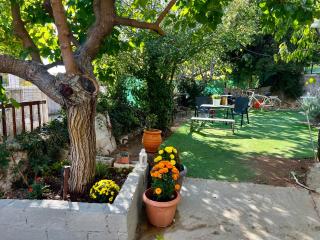 Chalet Dirfys - Escape in the heart of Evia - - 3