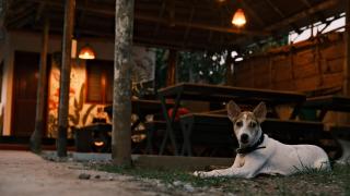 Ostello - Varkala - 4