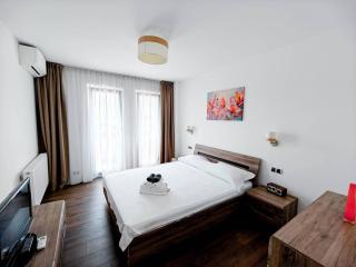 Lakeside Apartment By Iulius Mall - Cluj-Napoca - 7