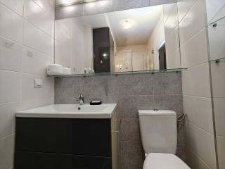 Park Lake Near Iulius Mall, Wi-fi, Walk-in Showe - Cluj-Napoca - 4
