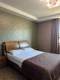 Hotel in Bakuriani - Bakuriani - 1