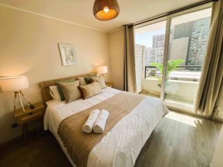 HOM I Amplio e Inmejorable Depto 1D1B Santiago B309 - Santiago - 0