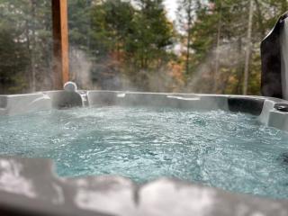 Chalet Allegria Tremblant - La Conception - 8