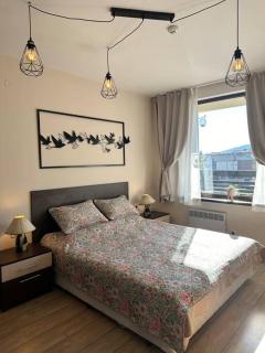 Top location unique apartment - Bansko - 3
